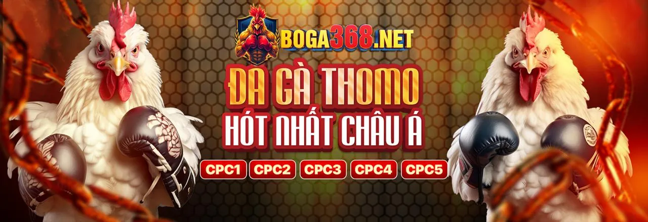 Đá gà trực tuyến 123win pro