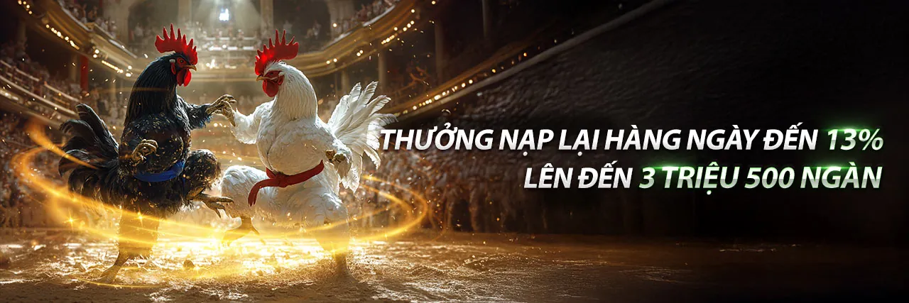 Trải nghiệm cá cược đỉnh cao tại 123win pro 2026